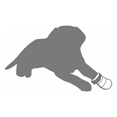 Flamingo Paw PROTECTOR L  1PC — 4 nuotrauka