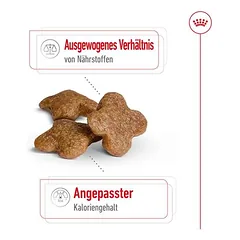 Royal Canin Mini Adult 8+ sausas maistas šunims, 5 - 9,9 kg — 4 nuotrauka