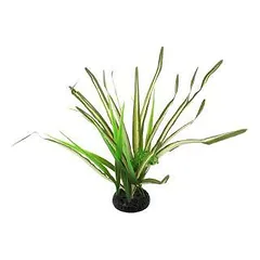Repti Planet Spartina Grass 30 cm parduotuvėje petreon.lt