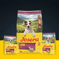 Josera Mini Lamb begrūdis sausas pašaras mažų veislių šunims su ėriena, 3 kg — 3 nuotrauka