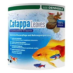 Dennerle Catappa lapai, 10vnt  dideli