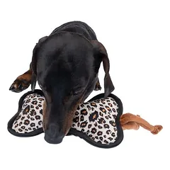 zooplus Basics skanėstų žaislas, kaulas, apie L 32 x B 11 x H 5 cm — 5 nuotrauka