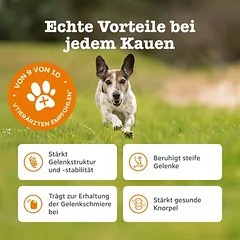 Zesty Paws Hip & Joint Chews Truthahn