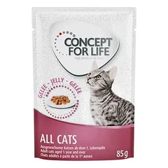 Concept for Life All Cats - in Gelee