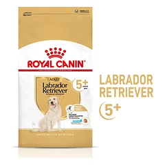 ROYAL CANIN Labrador Retriever Adult 5+ 12 kg sausas maistas suaugusiems Jorkšyro terjerams, vyresniems nei 5 metai