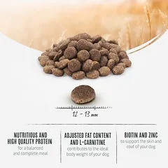 Briantos Adult Light Sterilised su kalakutiena ir bulvėmis – begrūdė receptūra, sausas maistas šunims, < 1,4 kg — 4 nuotrauka