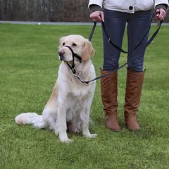 Šunų antsnukis Top trainer, 27 cm, M — 2 nuotrauka