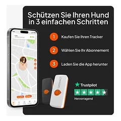 Weenect augintinių GPS sekimo įrenginys XS šunims – be antkaklio — 5 nuotrauka