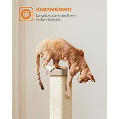 Kačių draskyklė 73 cm — 3 nuotrauka