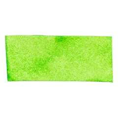 Trixie Denta Fun Chips mit Spirulina — 3 nuotrauka