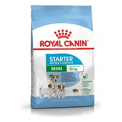 Royal Canin Mini Starter 1 kg parduotuvėje kika.lt