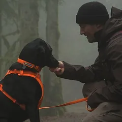 Ruffwear antkaklis Front Range, Blaze Orange, Mažiems 5–10 kg — 3 nuotrauka