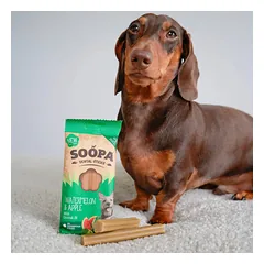 SOOPA Arbūzo ir obuolių lazdelės šunims, Watermelon & Apple Dog Dental Sticks, 100g — 4 nuotrauka