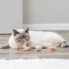 Trixie Matatabi plunksnų žaislas katėms, 1 vnt. — 3 nuotrauka