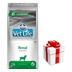 FARMINA Vet Life Dog Renal 12kg + STAIGMENA ŠUNIUI