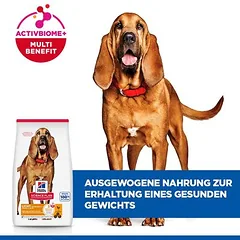 Hill's Science Plan Mature Adult 7+ Medium Light su vištiena, sausas maistas šunims — 4 nuotrauka