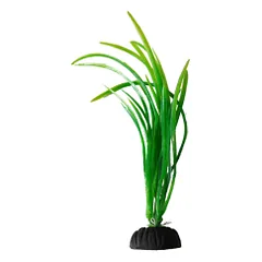Aquael žalias augalas akvariumui
