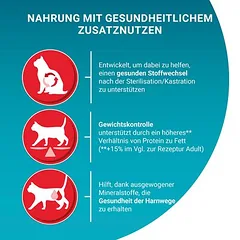 PURINA ONE SterilCat su lašiša, sausas maistas katėms — 4 nuotrauka