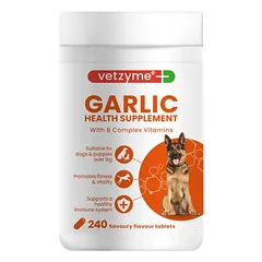 VETZYME vitaminų papildas šunims su česnaku N240