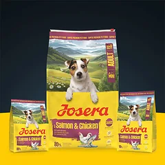Josera Mini Salmon+Chicken sausas pašaras mažų veislių šunims su lašiša ir vištiena, 10 kg — 3 nuotrauka