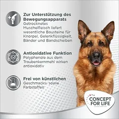 Concept for Life Mobility Pellets papildas — 3 nuotrauka