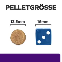 Hill's Prescription Diet u/d Urinary Care sausas maistas šunims, > 10 kg — 4 nuotrauka