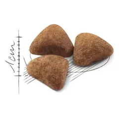 ROYAL CANIN FHN Cat Indoor sausas maistas namuose gyvenančioms katėms 10 kg — 2 nuotrauka