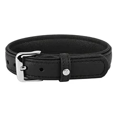 Das Lederband antkaklis šunims Denver V2 Black