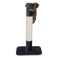 zooplus Exclusive XXL draskyklė katėms Jumbo — 4 nuotrauka