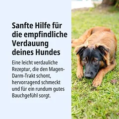 Virbac Veterinary HPM Adult Sensitive Neutered Dog Large & Medium, sausas maistas šunims — 4 nuotrauka