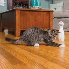 PetSafe® FroliCat® Bolt lazerinis žaislas katėms, 1 vnt. — 3 nuotrauka