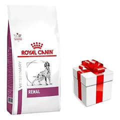 ROYAL CANIN Renal RF 14 7kg + STAIGMENA ŠUNIUI