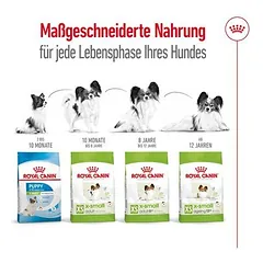 Royal Canin X-Small Adult sausas maistas šunims, 3 - 4,9 kg — 5 nuotrauka
