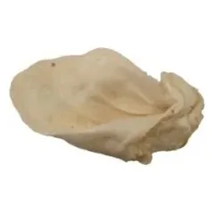 Jaučio Ausis Balta 1vnt.