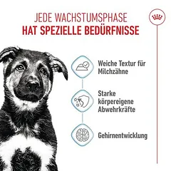 Royal Canin Maxi Puppy padaže, drėgnas maistas šunims — 4 nuotrauka