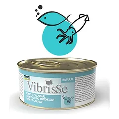 VIBRISSE konservai katėm su tunu ir kalmarais 70g 12vnt