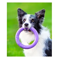 Žaislas - mankštos priemonė šunims PULLER Midi 20 cm — 5 nuotrauka