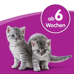 Whiskas Katzenmilch — 2 nuotrauka