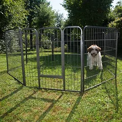 zooplus Exclusive metalinis aptvaras šuniukams, 8 elementai po B 80 x H 80 cm — 2 nuotrauka