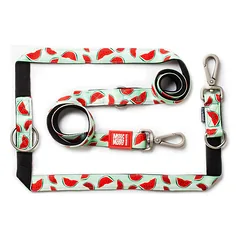 Max & Molly Multi-Leash Watermelon - reguliuojamas pavadėlis šunims, įdomus raštas, 200 cm