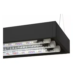 Aquael Ultrascape 60 Forest Set, 60x30x36 cm, 64,8 l — 4 nuotrauka