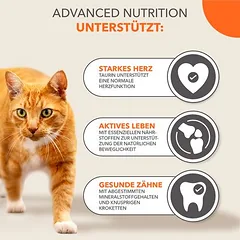 IAMS Advanced Nutrition Senior Cat 7+ su tunu, sausas maistas katėms, 3 - 4,9 kg — 4 nuotrauka