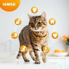 IAMS Cat Adult Indoor su vištiena, sausas maistas katėms 2 kg — 3 nuotrauka