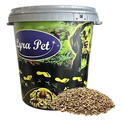 Lyra Pet® margainio sėklos, 20 kg — 3 nuotrauka