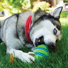 KONG Squeezz® Goomz Ball žaislas šunims, Dydis XL: Ø 9 cm — 2 nuotrauka