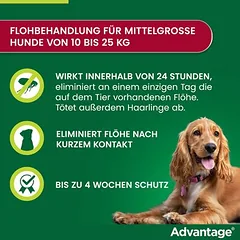 Advantage® 250 šunims, 10-25 kg, Ekonominė pakuotė: 2 x 4 pipetės x 2,5 ml — 4 nuotrauka