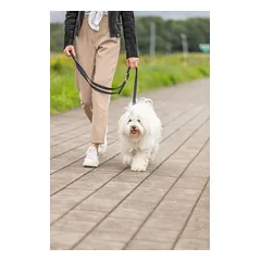 TRIXIE Premium pritaikomas pavadys, dvisluoksnis, XS 2m/10mm, mėlynas