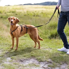 Trixie saugos petnešos Stay, juodos, Dydis XS–S: 30–40 cm krūtinės apimtis, 10 mm pločio — 3 nuotrauka