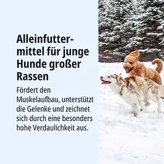 Virbac Veterinary HPM Junior Dog Special Large, sausas maistas šunims — 3 nuotrauka