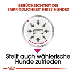 Royal Canin Exigent Mousse drėgnas maistas šunims — 4 nuotrauka
